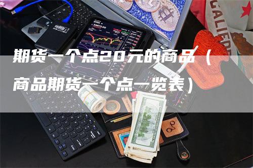 期货一个点20元的商品（商品期货一个点一览表）
