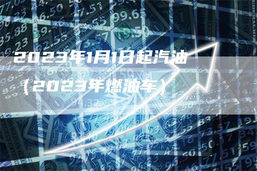 2023年1月1日起汽油（2023年燃油车）