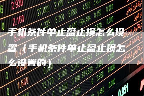 手机条件单止盈止损怎么设置（手机条件单止盈止损怎么设置的）