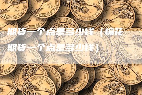 期货一个点是多少钱(棉花期货一个点是多少钱)