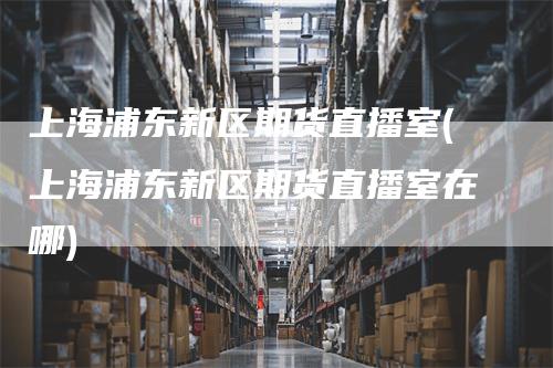 上海浦东新区期货直播室(上海浦东新区期货直播室在哪)