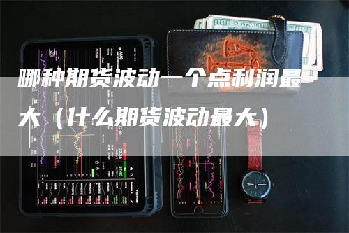 哪种期货波动一个点利润最大(什么期货波动最大)