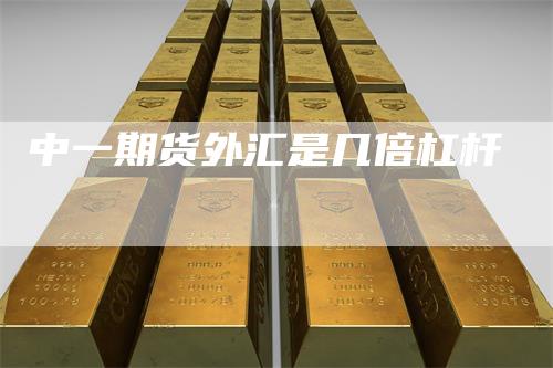 中一期货外汇是几倍杠杆