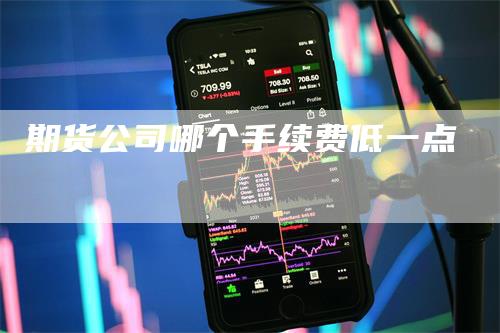 期货公司哪个手续费低一点