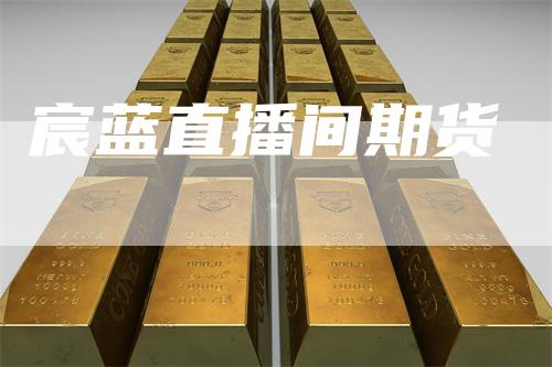 宸蓝直播间期货