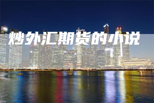 炒外汇期货的小说