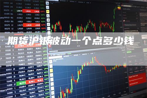 期货沪银波动一个点多少钱