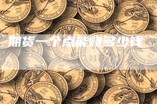 期货一个点能赚多少钱