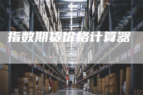 指数期货价格计算器