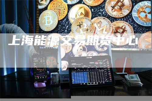 上海能源交易期货中心