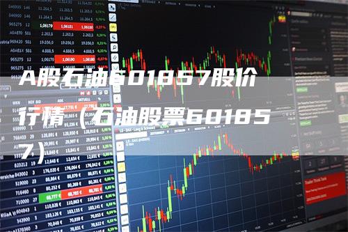 A股石油601857股价行情（石油股票601857）