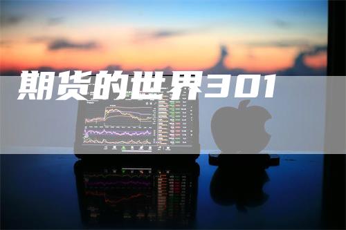 期货的世界301
