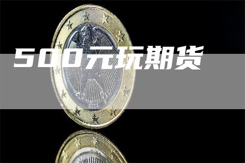 500元玩期货