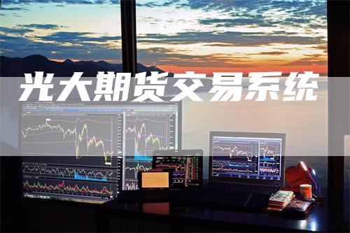 光大期货交易系统