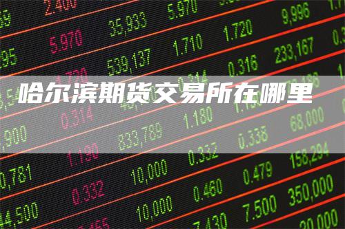 哈尔滨期货交易所在哪里