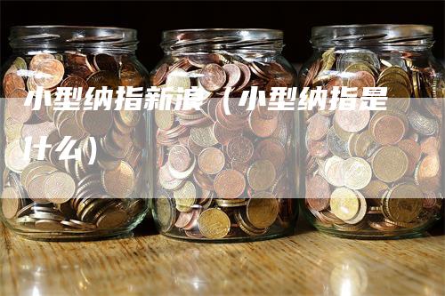 小型纳指新浪（小型纳指是什么）