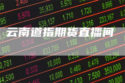 云南道指期货直播间