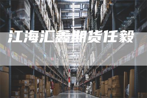 江海汇鑫期货任毅