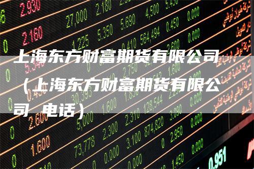 上海东方财富期货有限公司（上海东方财富期货有限公司 电话）