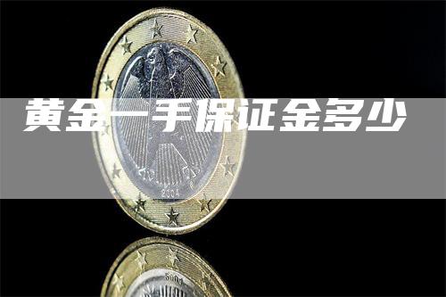 黄金一手保证金多少