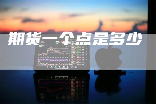 期货一个点是多少