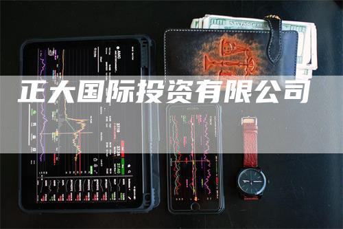 正大国际投资有限公司