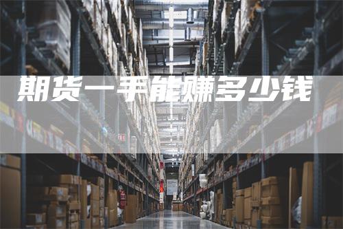 期货一手能赚多少钱