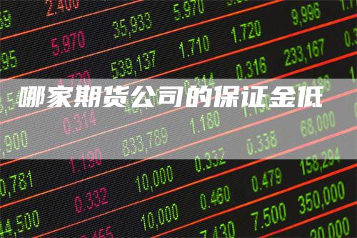 哪家期货公司的保证金低