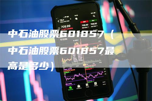 中石油股票601857（中石油股票601857最高是多少）