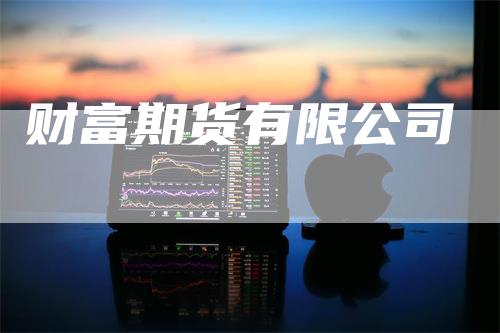 财富期货有限公司