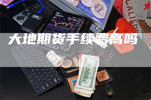 大地期货手续费高吗