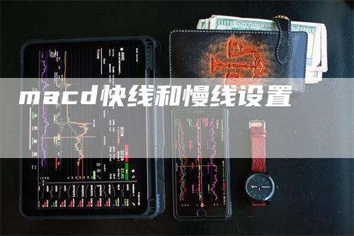 macd快线和慢线设置