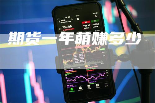 期货一年萌赚多少