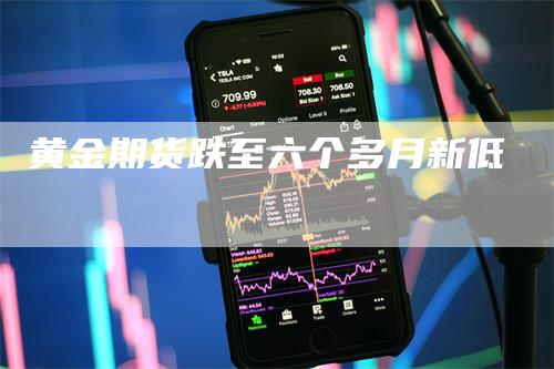 黄金期货跌至六个多月新低