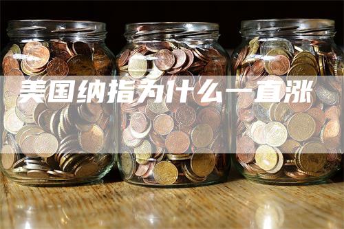 美国纳指为什么一直涨