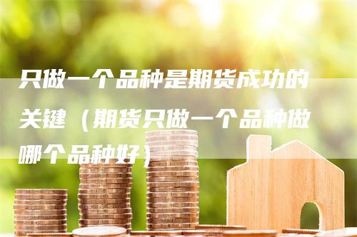 只做一个品种是期货成功的关键（期货只做一个品种做哪个品种好）