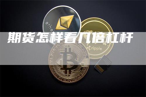 期货怎样看几倍杠杆