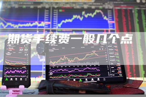 期货手续费一般几个点