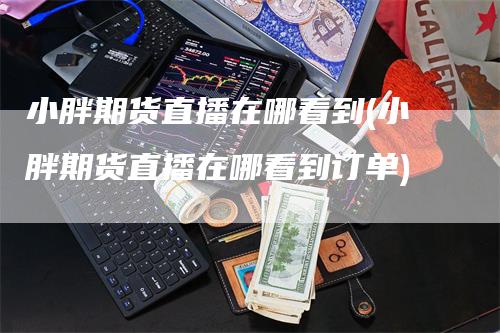 小胖期货直播在哪看到(小胖期货直播在哪看到订单)