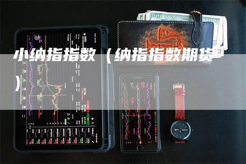 小纳指指数（纳指指数期货）