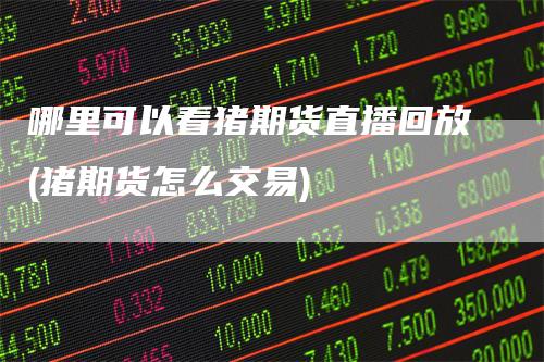 哪里可以看猪期货直播回放(猪期货怎么交易)