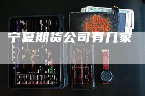 宁夏期货公司有几家
