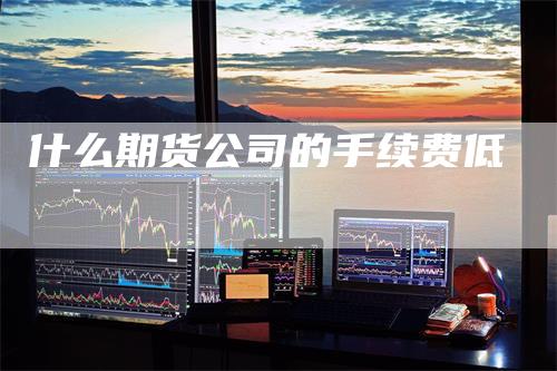 什么期货公司的手续费低