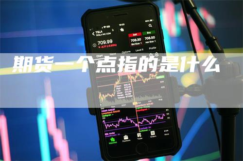 期货一个点指的是什么