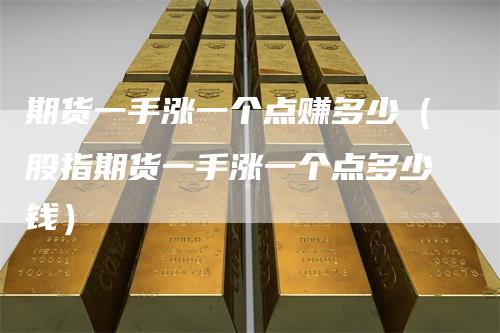 期货一手涨一个点赚多少(股指期货一手涨一个点多少钱)