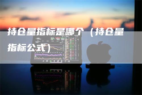 持仓量指标是哪个（持仓量指标公式）