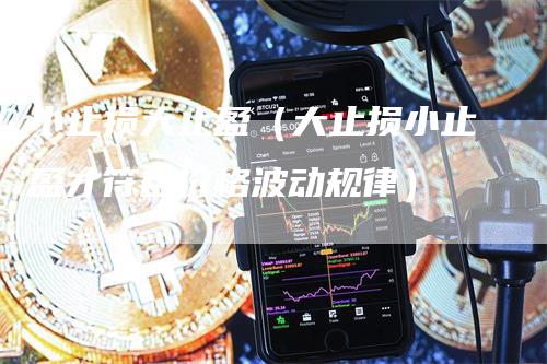 小止损大止盈（大止损小止盈才符合价格波动规律）