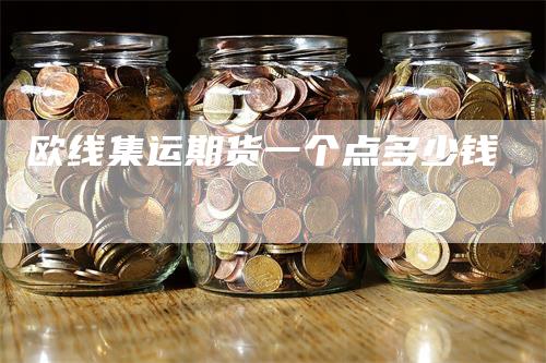 欧线集运期货一个点多少钱