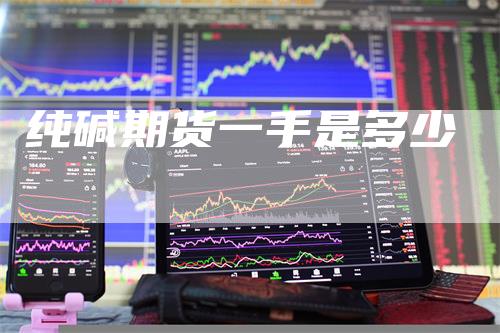 纯碱期货一手是多少