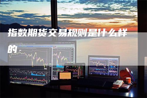 指数期货交易规则是什么样的